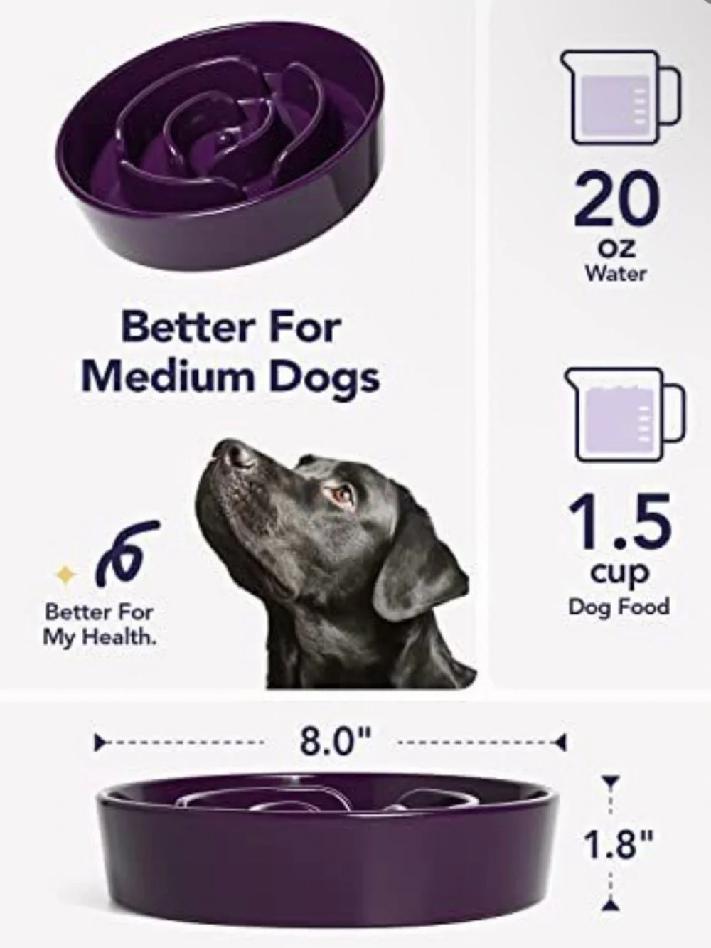 Slow Feeder Dog Bowl in Purple - No Brand